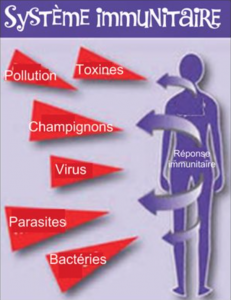 Les gestes qui sauvent en cas d’épidémie...