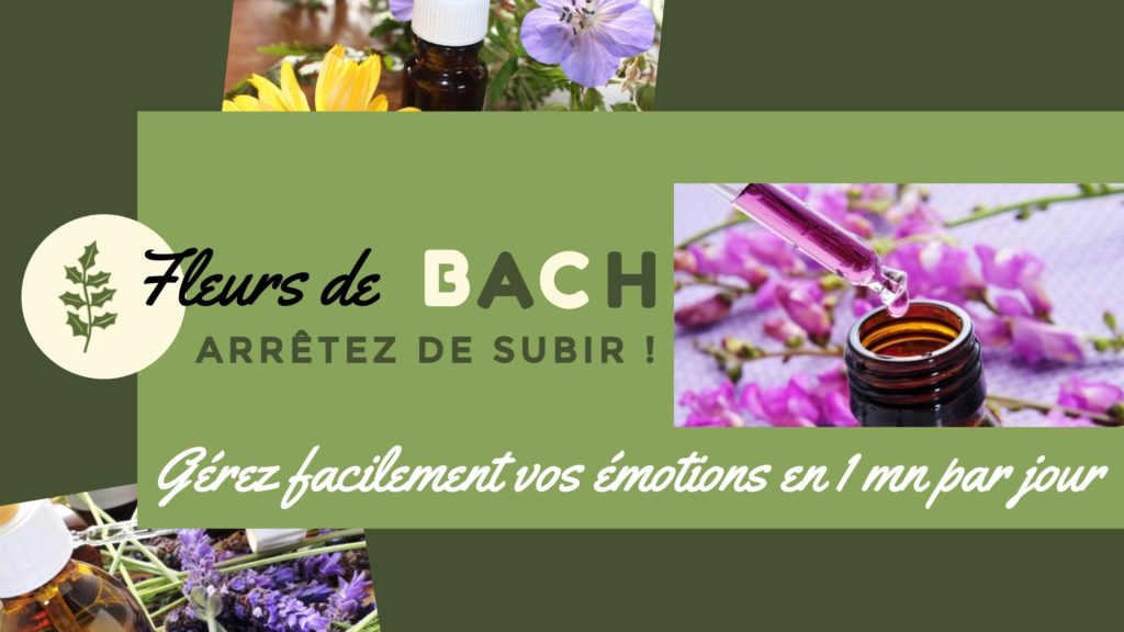 Comment gérer facilement ses émotions avec les Fleurs de Bach