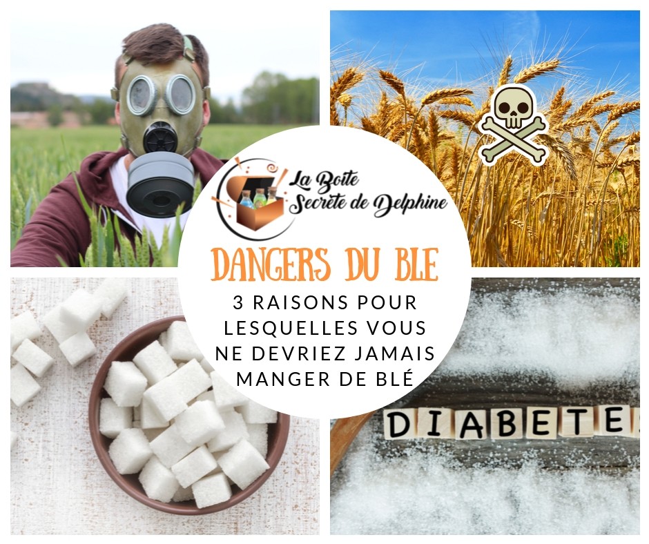 Illustration de l'article : Dangers du blé