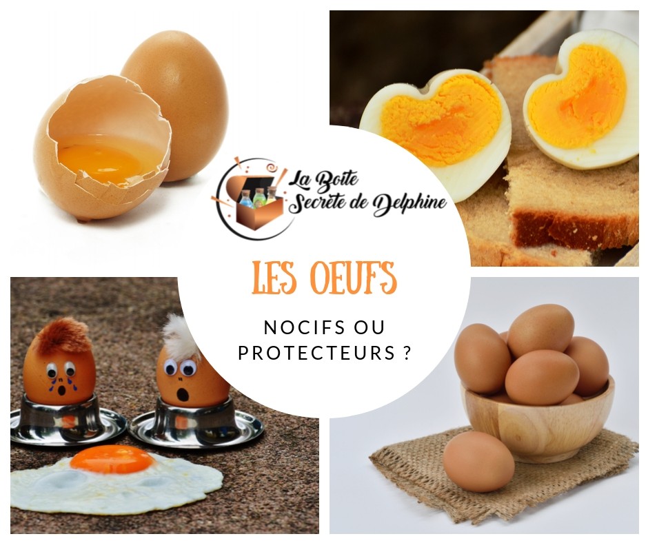 Illustration de l'article Les oeufs : Nocifs ou protecteurs ?