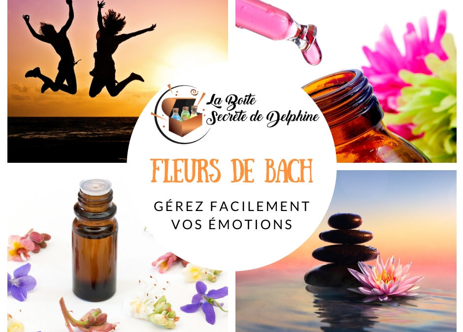 Guide OFFERT + Gérer ses émotions en 1mn par jour ?