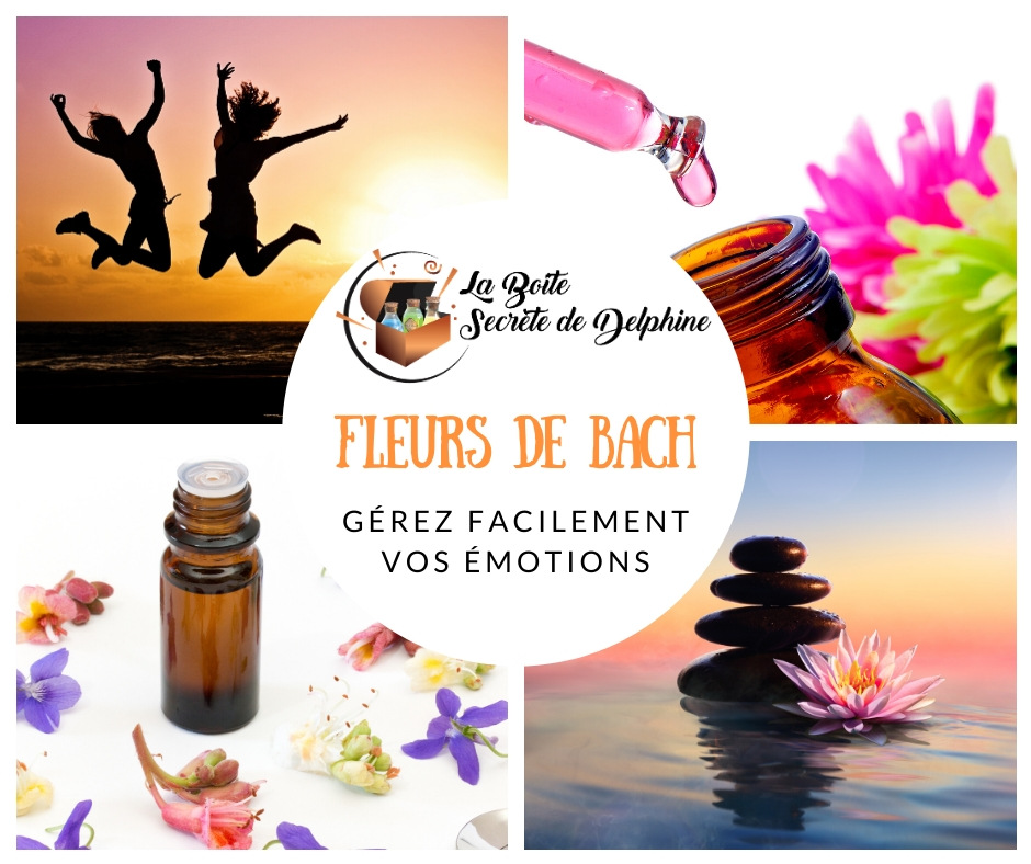 Illustration de l'article : Comment gérez facilement vos émotions en 1mn/jour avec les fleurs de bach ?