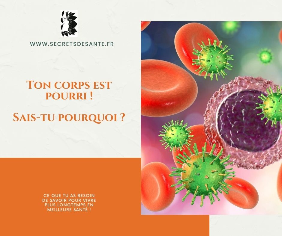 Ton corps est pourri ! Sais-tu pourquoi ?