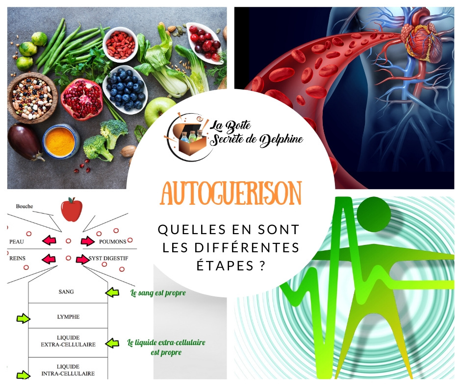 Quelles sont les différentes étapes de l’autoguérison ?