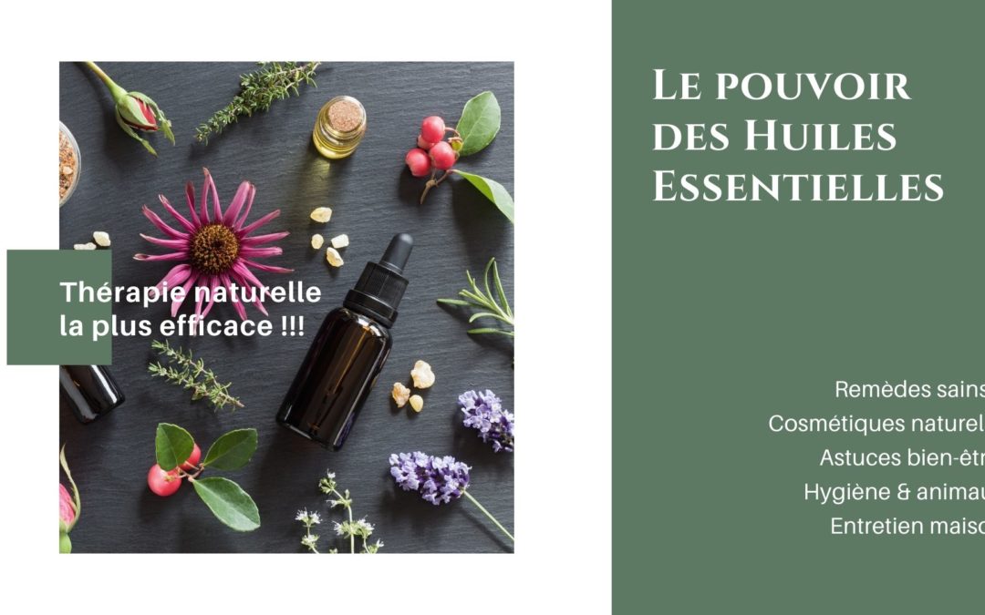 L’huile essentielle qui résout acné, brulure, éruption, pellicules, verrue,  otite et maux de dents