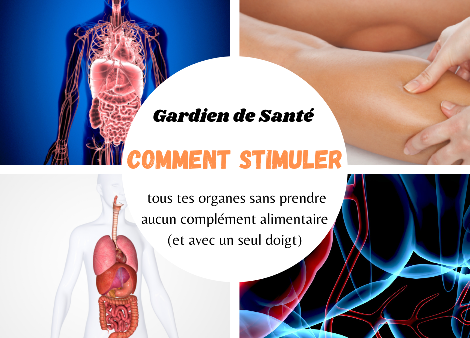 Comment stimuler tous tes organes sans prendre aucun complément alimentaire (et avec un seul doigt)